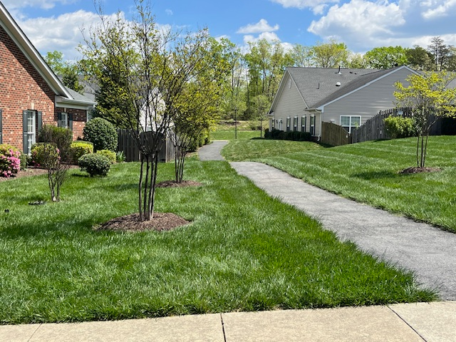 9533 Airdrie Ln in Fredericksburg, VA - Building Photo - Building Photo