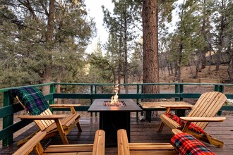 613 Beaumont Ln in Big Bear, CA - Building Photo - Building Photo