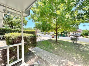 902 Pyegrave Pl in Austin, TX - Building Photo - Building Photo