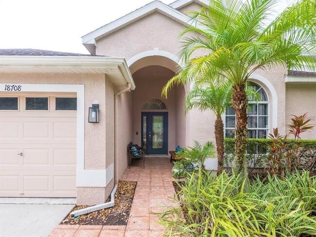 18708 Chopin Dr in Lutz, FL - Building Photo - Building Photo