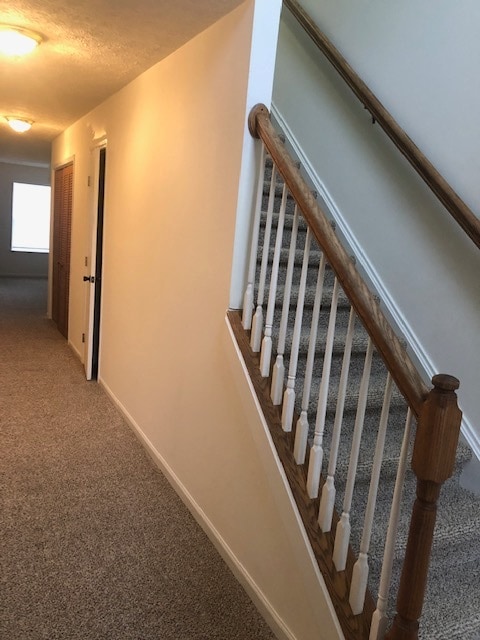 property at 3124 Brunswick Ct S