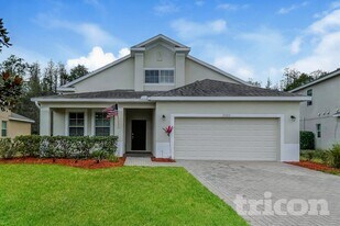 19322 Sunset Bay Dr in Land O Lakes, FL - Building Photo