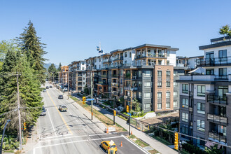 The Oaks in Coquitlam, BC - Building Photo - Building Photo