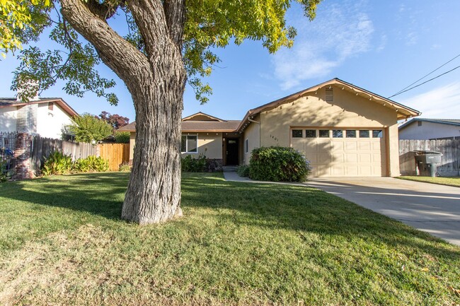 1401 Rosemead Ct in Modesto, CA - Building Photo - Building Photo