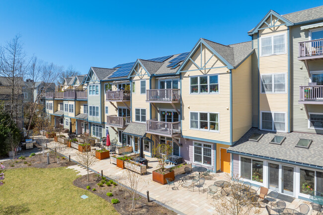 Cambridge Cohousing in Cambridge, MA - Building Photo - Building Photo