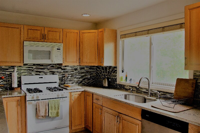251 Captain Eames Cir in Ashland, MA - Building Photo