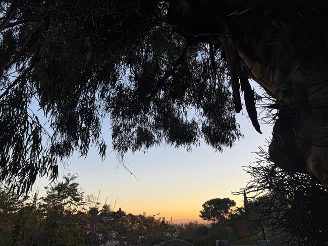 2315 Loma Vista Pl, Unit 2315 Loma Vista Place in Los Angeles, CA - Foto de edificio - Building Photo