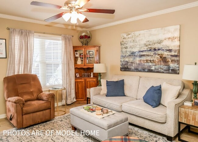 908 Park Lane in Oxford, MS - Building Photo - Building Photo