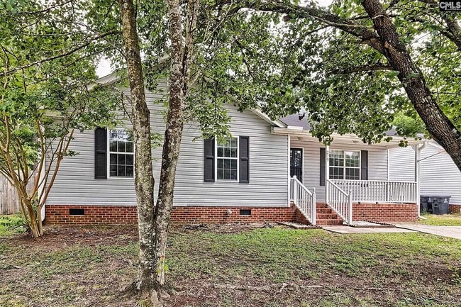 229 Bill Williamson Ct in Lexington, SC - Building Photo - Building Photo