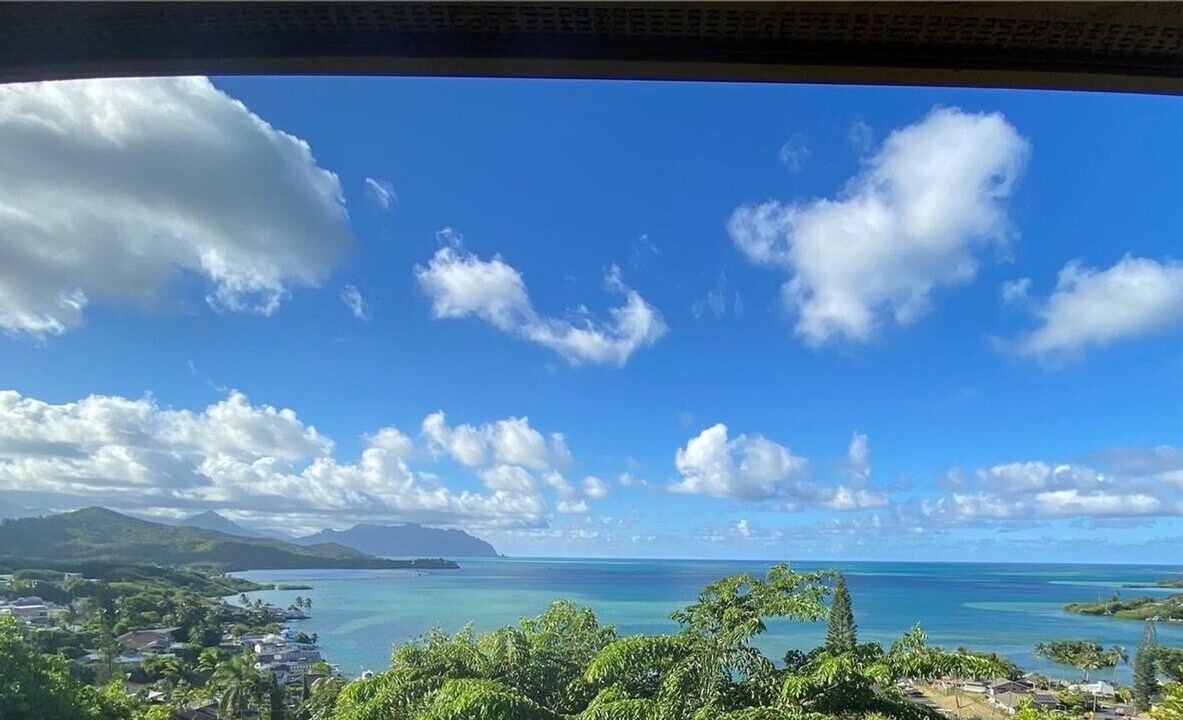 46-149-149 Meheanu Loop in Kaneohe, HI - Building Photo