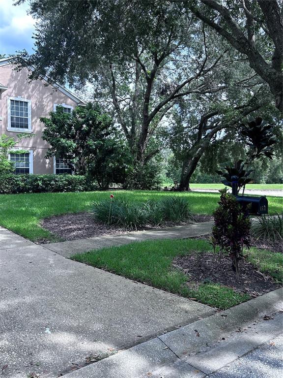 1531 McCrea Dr in Lutz, FL - Building Photo - Building Photo