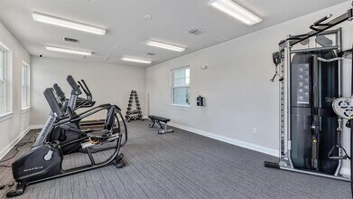 419 Ibiza Lp in Venice, FL - Building Photo - Building Photo