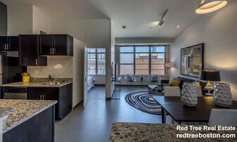 160 E Berkeley St in Boston, MA - Building Photo