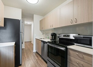 52 W Elm St, Unit 1401 in Chicago, IL - Building Photo - Building Photo