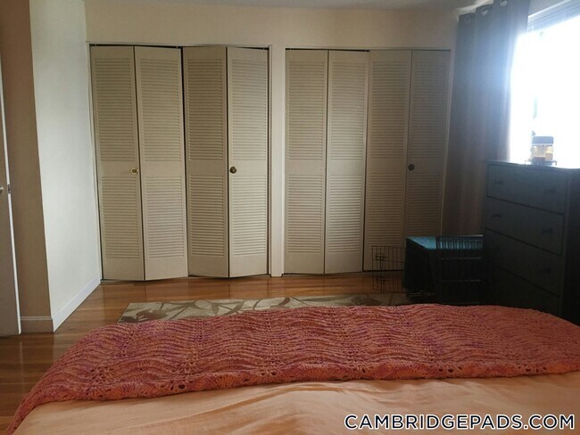 property at 77 Trowbridge St
