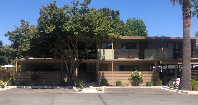 50 Casa Maria Ct, Unit C in Alamo, CA - Building Photo - Building Photo