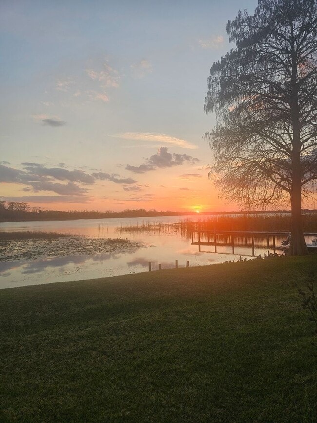 property at 412 Orange Blossom Dr