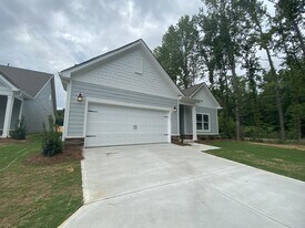 5139 Natural Path Ln in Waxhaw, NC - Building Photo