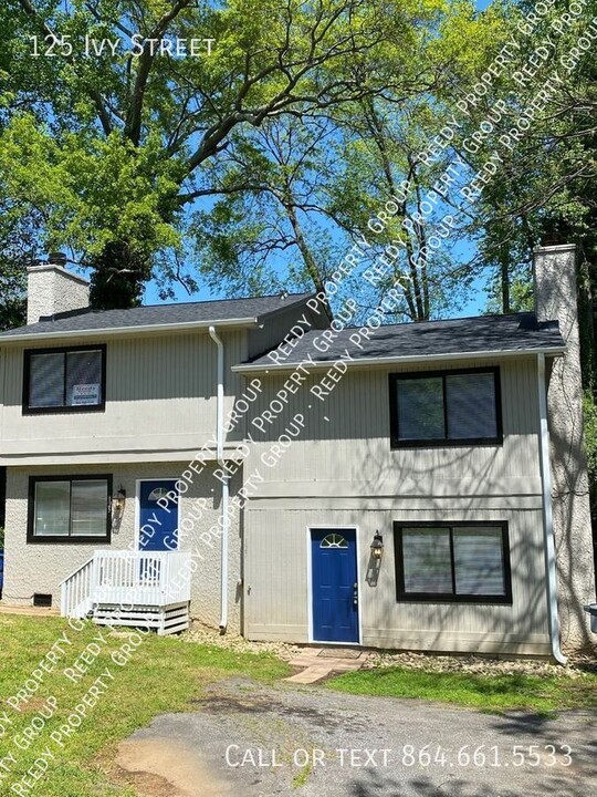 125 Ivy St in Spartanburg, SC - Building Photo