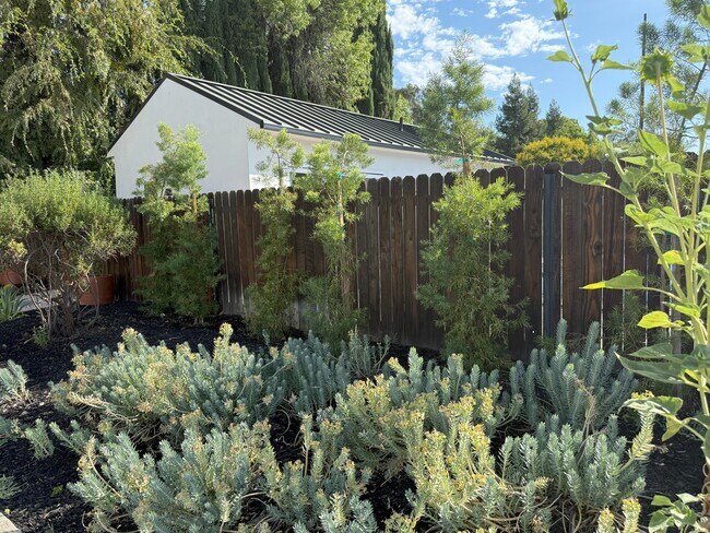 5918 Hinton Ave in Los Angeles, CA - Building Photo - Building Photo