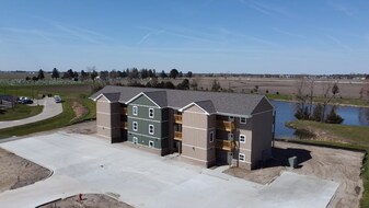 913 Green Mill Rd in Arcola, IL - Building Photo