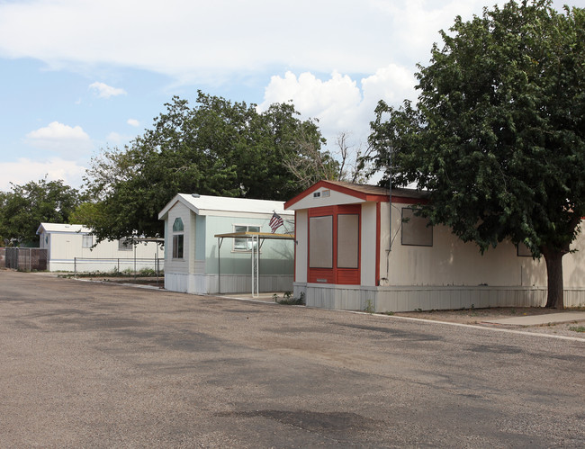 Cadillac Estates in Tucson, AZ - Foto de edificio - Building Photo