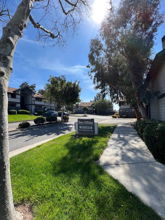 Dove Ridge Apartments in Riverside, CA - Foto de edificio