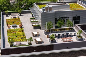 The Earl in Arlington, VA - Foto de edificio - Building Photo