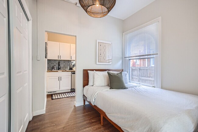 1073 N Downing St in Denver, CO - Building Photo - Building Photo