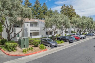 38596 Mary Ter in Fremont, CA - Building Photo - Building Photo