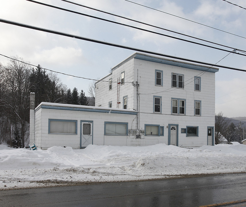 88 Main St in Schenevus, NY - Building Photo