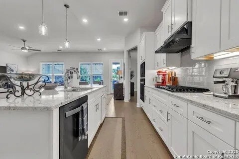 1435 Dancing Oak Ln in San Marcos, TX - Building Photo