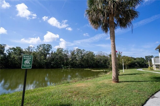 806 Lake Haven Square in Brandon, FL - Building Photo - Building Photo