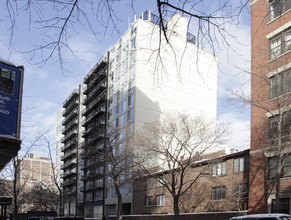 450 W Briar Pl in Chicago, IL - Building Photo - Building Photo