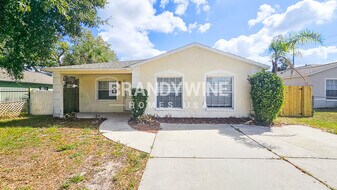 8705 Ruth Pl in Tampa, FL - Building Photo