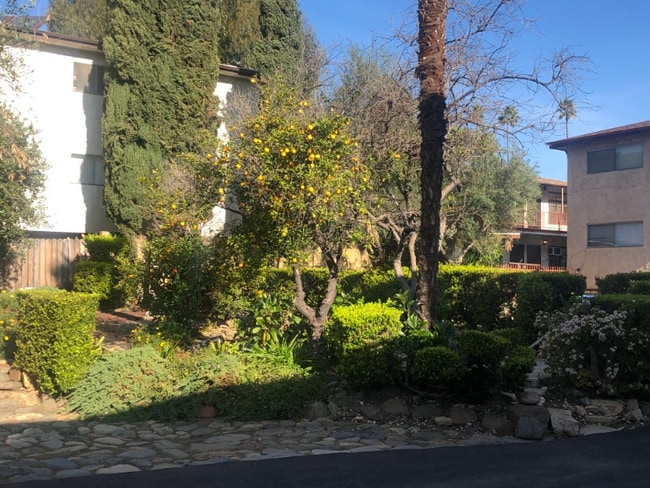 3643 Monon St in Los Angeles, CA - Building Photo - Building Photo