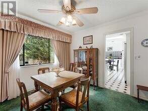 3531 Graham St in Port Coquitlam, BC - Building Photo - Building Photo