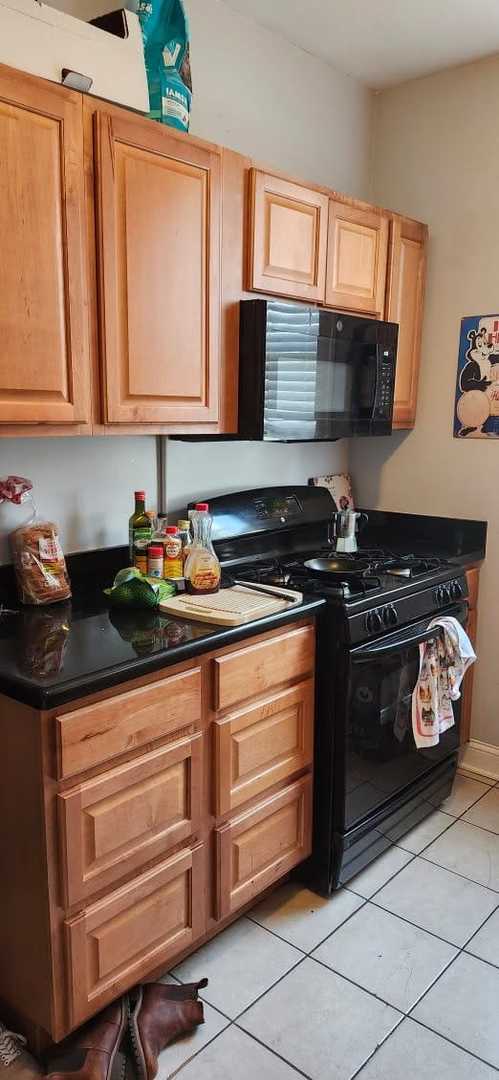 3009 W Armitage Ave in Chicago, IL - Building Photo - Building Photo