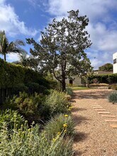 2330 Calle Del Oro in San Diego, CA - Building Photo - Building Photo