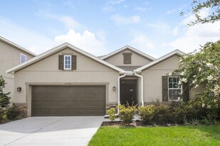 11543 Tangle Stone Dr in Gibsonton, FL - Building Photo