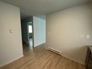28 N Alexander St in Danville, IL - Building Photo - Building Photo