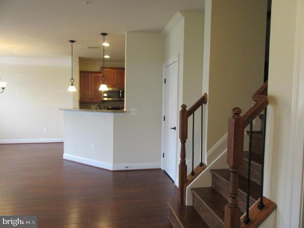 42548 Wildly Terrace in Ashburn, VA - Building Photo - Building Photo