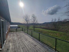 52686 Reedsford Rd in Myrtle Point, OR - Building Photo - Building Photo