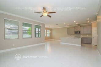 9808 Little Bluestem Dr in Land O Lakes, FL - Building Photo - Building Photo