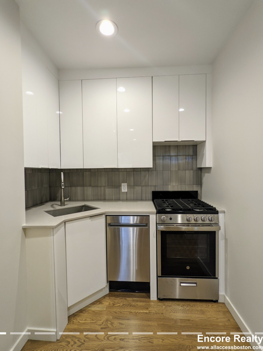 2 Belvidere Pl, Unit 2 in Cambridge, MA - Building Photo