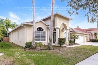 19519 French Lace Dr in Lutz, FL - Building Photo - Building Photo