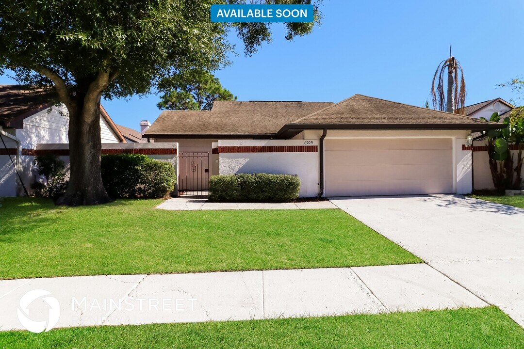6909 Silvermill Dr in Tampa, FL - Foto de edificio