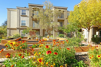 Portofino Senior Apartments in Henderson, NV - Building Photo - Building Photo