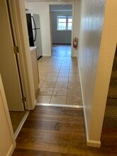 211 Willey St in Morgantown, WV - Foto de edificio - Building Photo