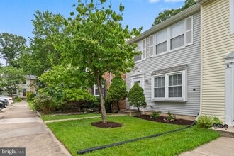 8113 Loving Forest Ct in Springfield, VA - Building Photo - Building Photo